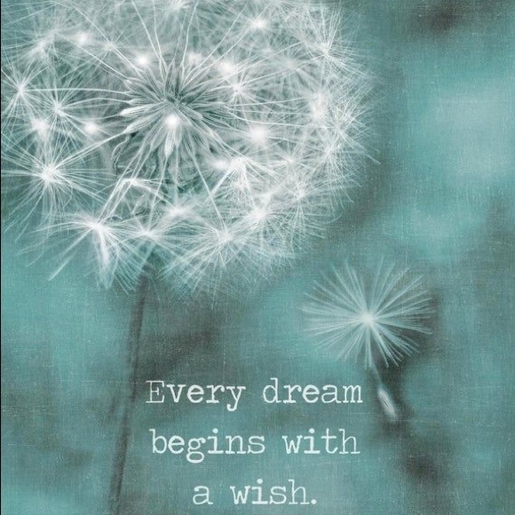 Meet your Posher, Antoinette - Picture 3 of 5